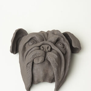 English bulldog head / H23cm X W22cm